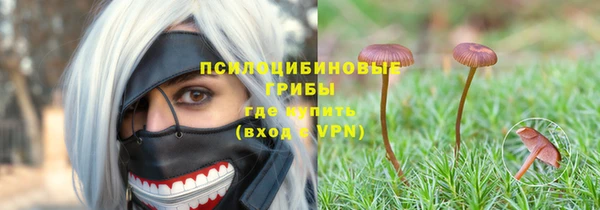 стафф Алексин