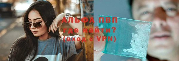 стафф Алексин
