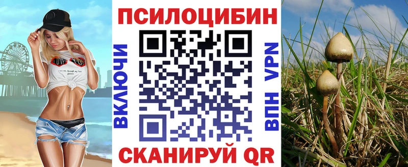 Галлюциногенные грибы мицелий даркнет сайт Калининск